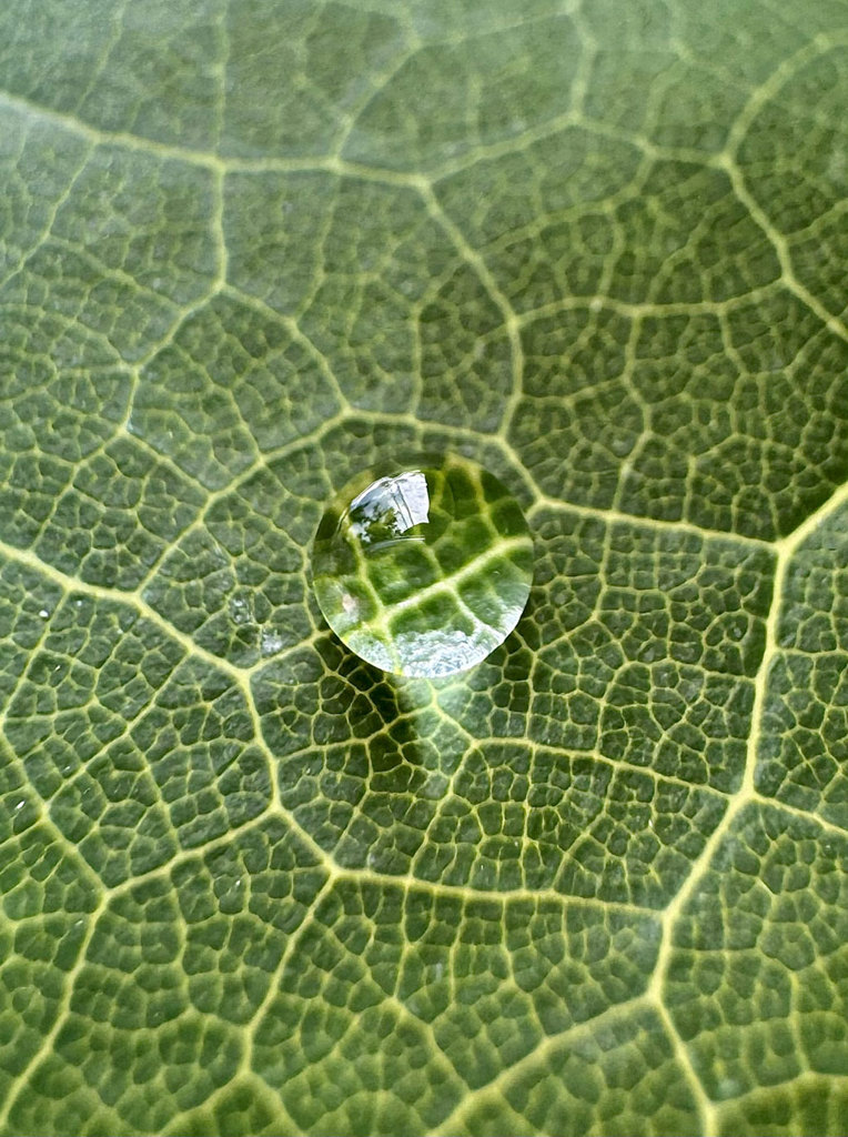 Droplet Optics   thumbnail