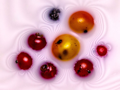 Creating Art with Fruit 