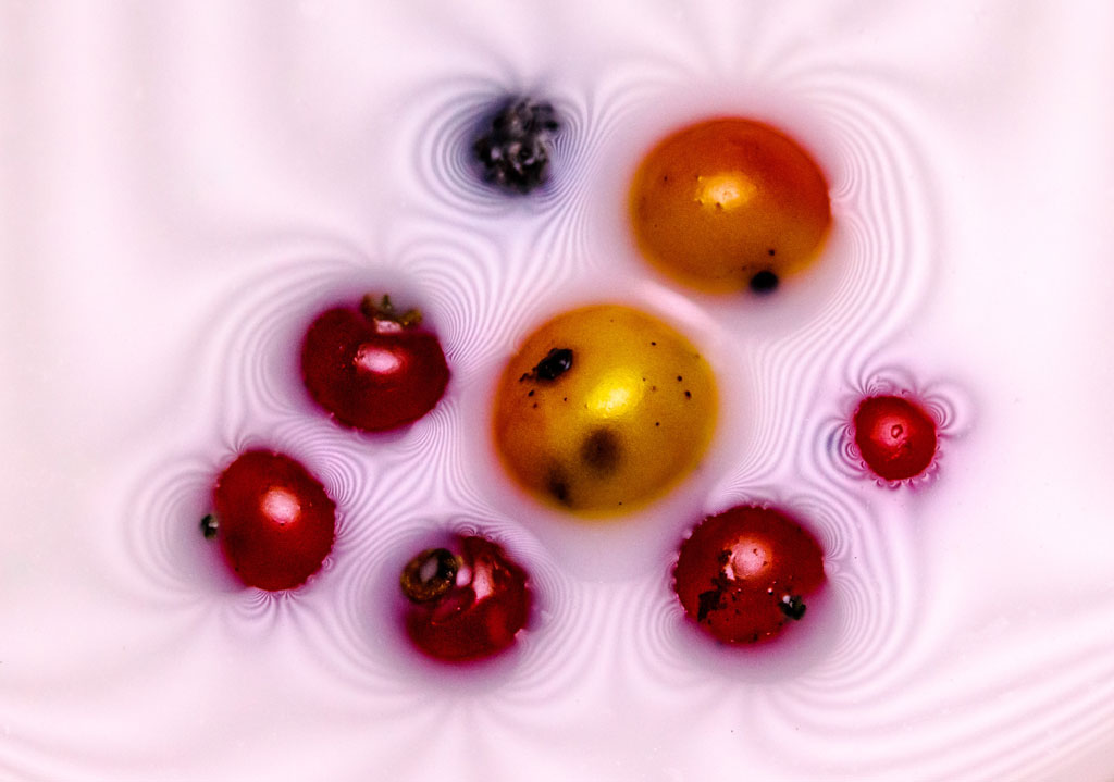 Creating Art with Fruit 