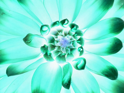 Inverted Illumination