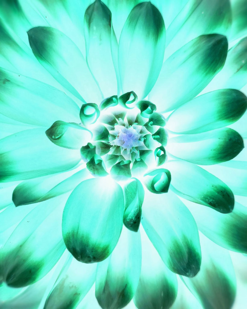 Inverted Illumination thumbnail