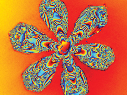 Snowflake in Phase