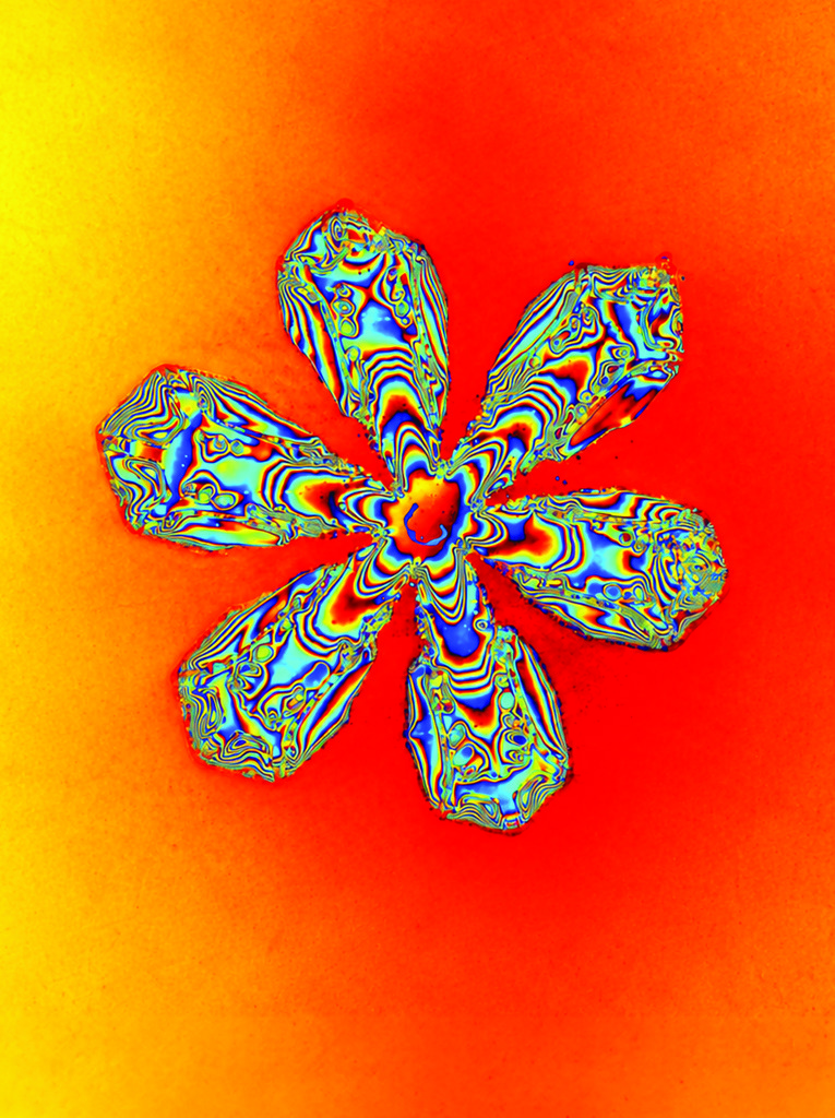 Snowflake in Phase  thumbnail